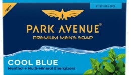 Park Avenue men soap