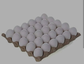 Egg tray