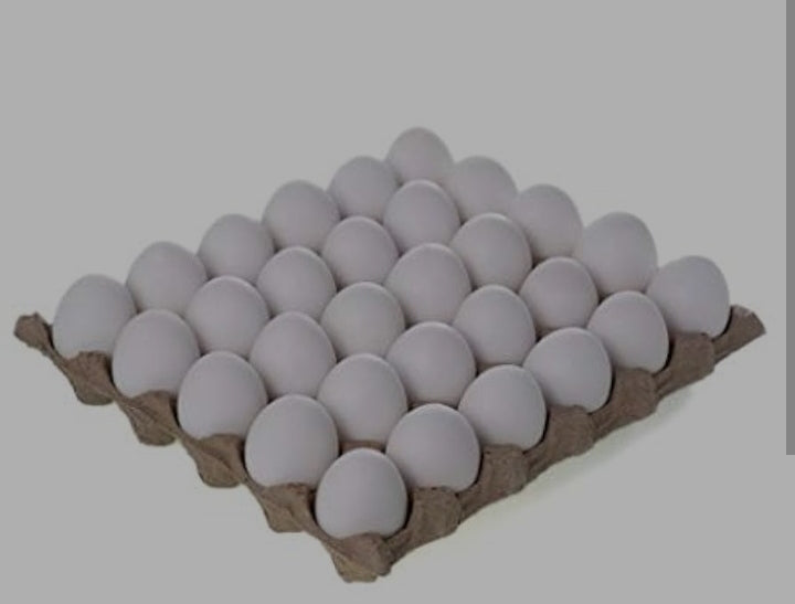 Egg tray