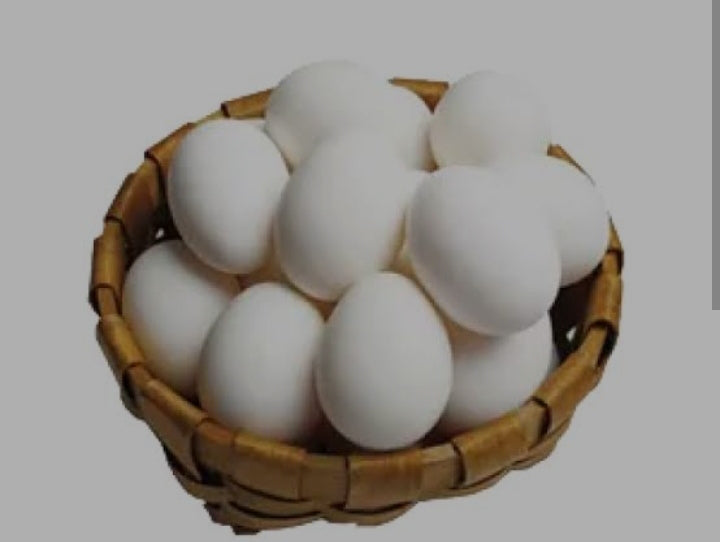 Egg